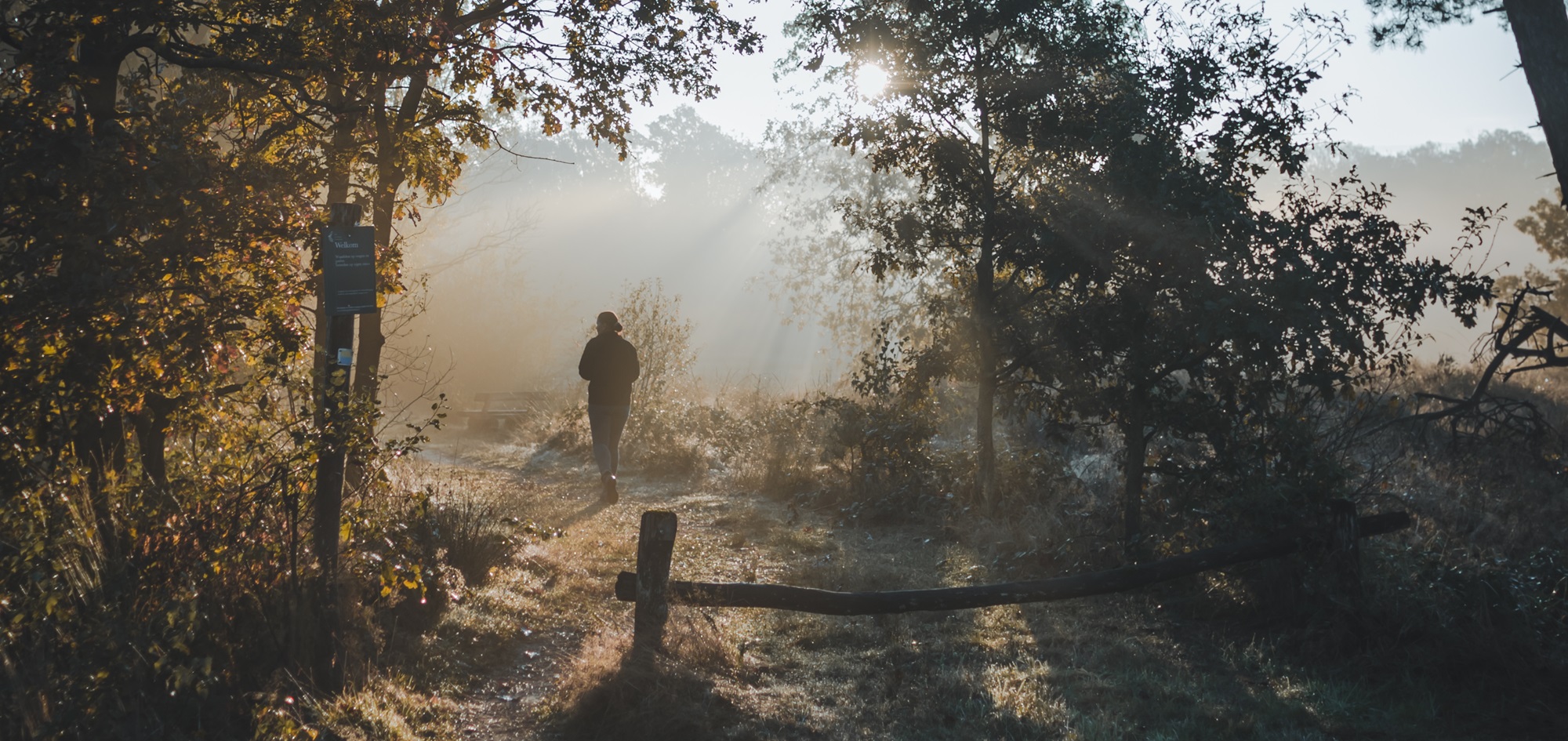 Vroege herfstwandeling door een mistig bos, met zonnestralen tussen de bomen en een silhouet van een wandelaar op een bladerig pad.