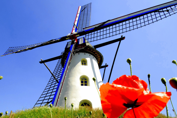 Bike tour : Mills and White Asparagus