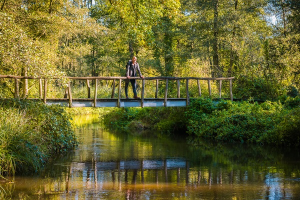 Hiker enjoys the view from a bridge over the stream while hiking in De Meinweg National Park
