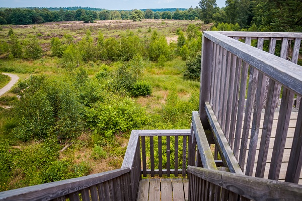 Uitkijktoren in Nationaal Park De Meinweg