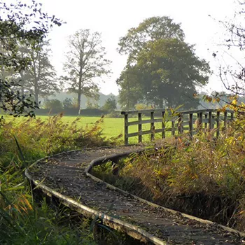 Knuppelpad in de Krang