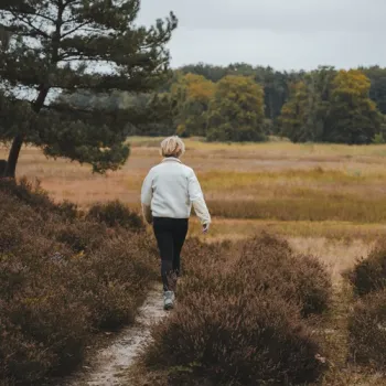 Wandelaar op een smal pad door heide en open natuur in Grenspark KempenBroek.