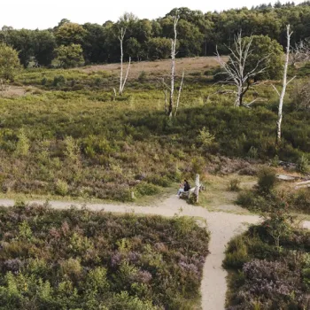 Heidelandschap in Nationaal Park De Meinweg met wandelpaden en een bankje waar een wandelaar zit, omringd door struiken, heide en enkele kale bomen.