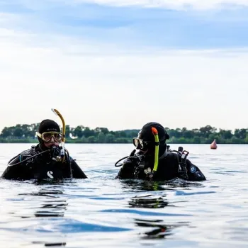 Twee duikers drijven aan de oppervlakte van de Maasplassen, klaar om onder water te gaan.